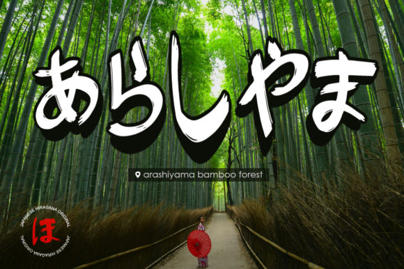 Blog Image 3