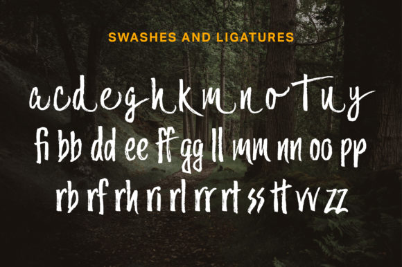 Blog Image 2