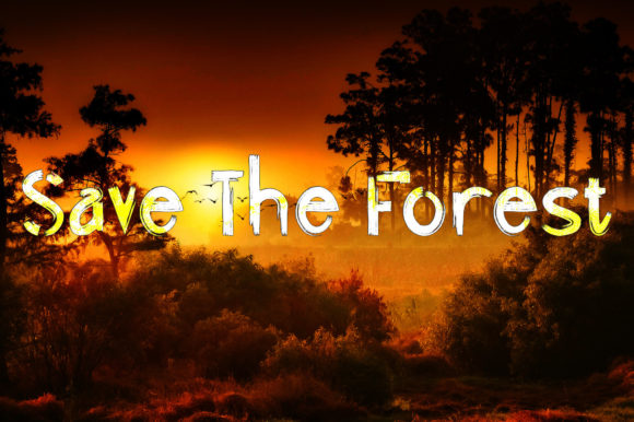 Blog Image 3