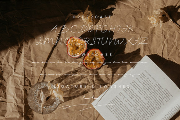 Blog Image 2