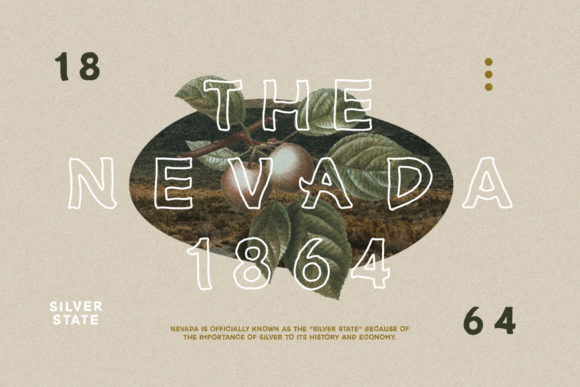 Blog Image 3