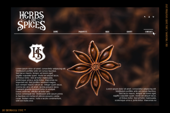 Blog Image 3