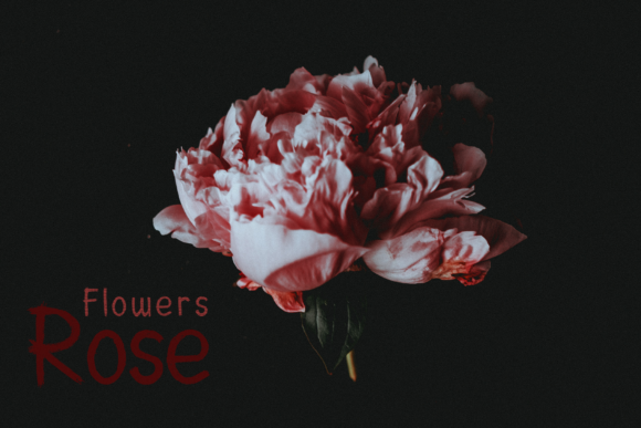 Blog Image 3