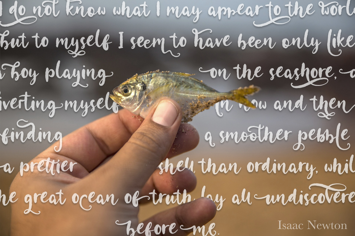 Blog Image 2