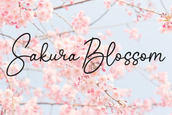 Blog Image 2