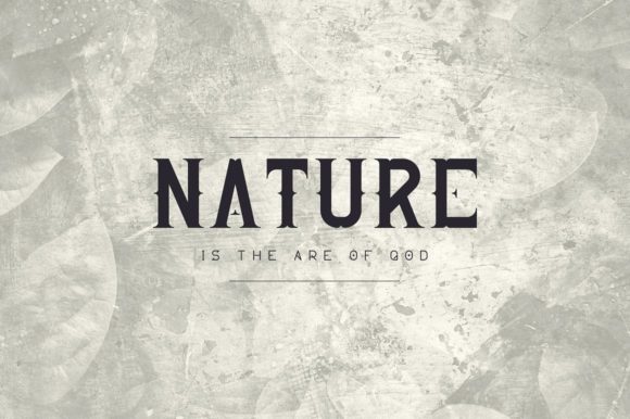 Blog Image 3