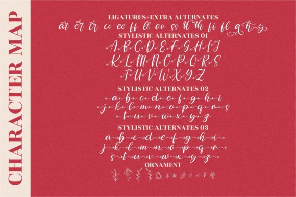 Blog Image 3