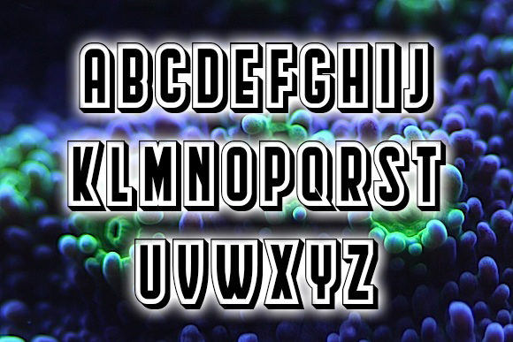 Blog Image 2