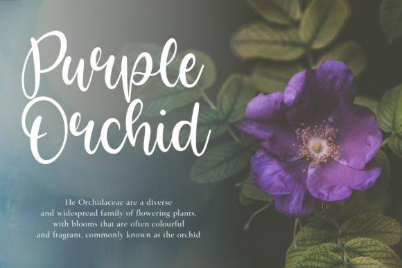 Blog Image 2