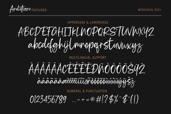 Blog Image 3