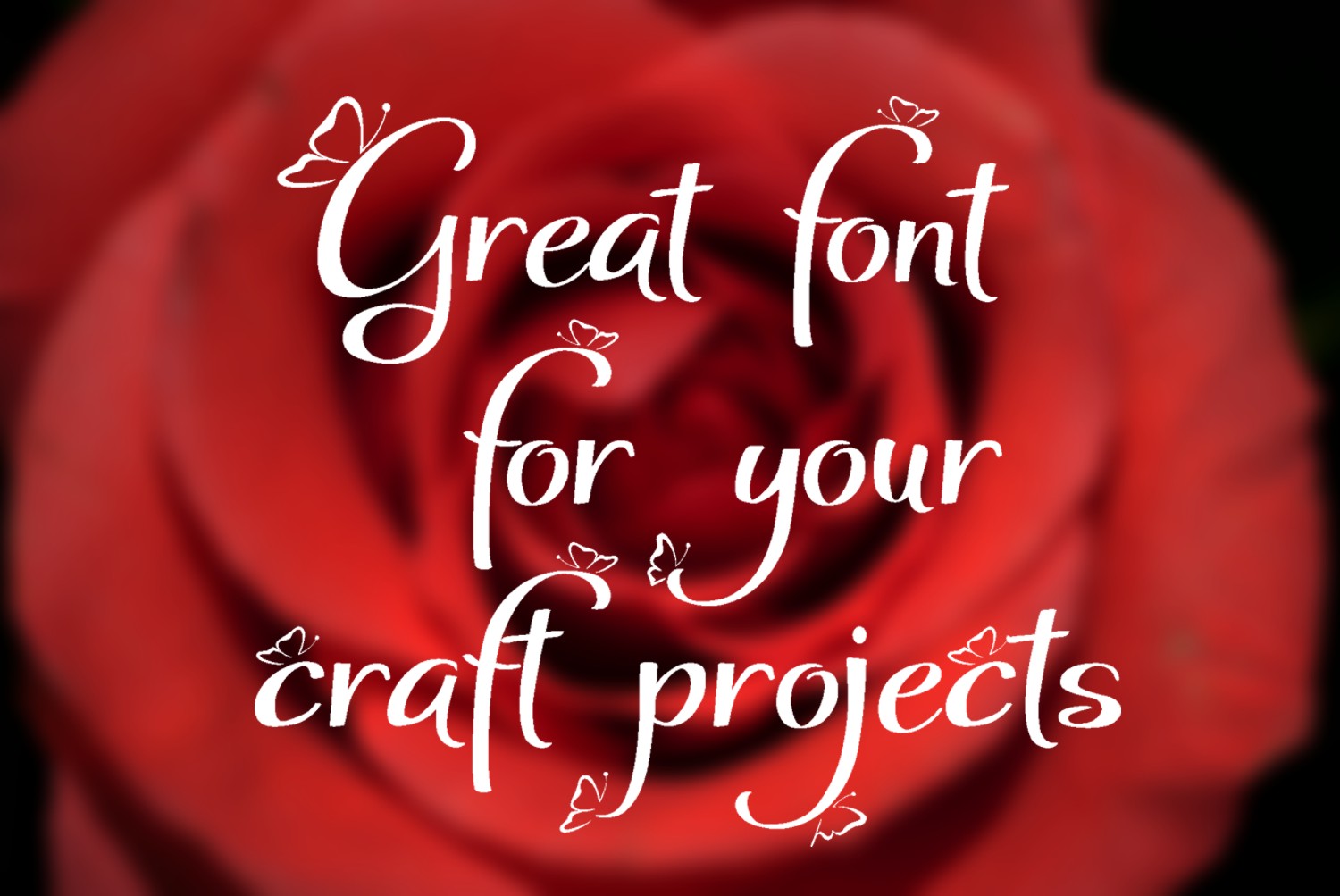 Blog Image 3