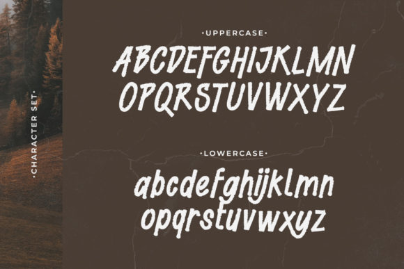 Blog Image 2