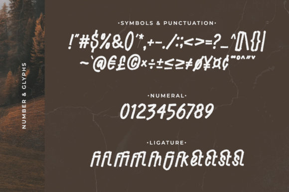Blog Image 3