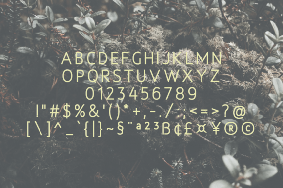 Blog Image 2