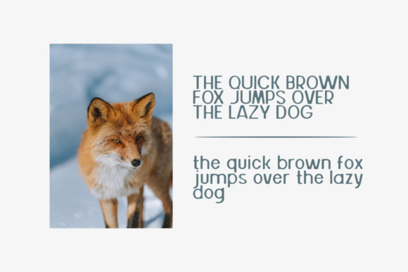 Blog Image 3