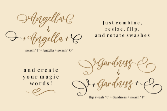 Blog Image 3