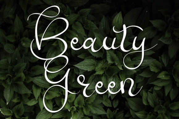 Blog Image 3