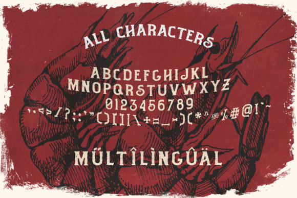 Blog Image 3