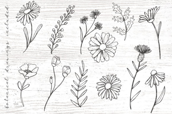 Blog Image 2