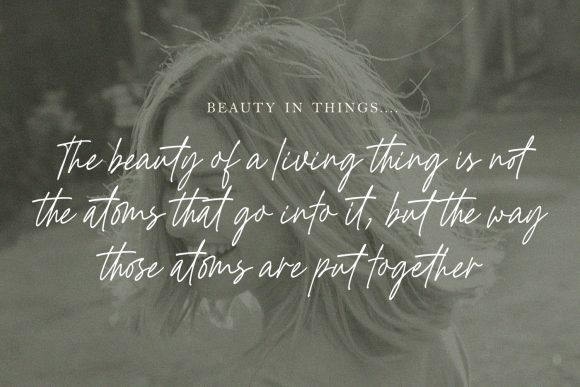 Blog Image