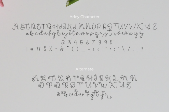 Blog Image 3