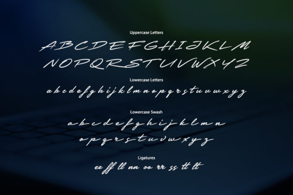 Blog Image 2