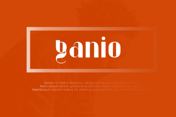 Blog Image 3