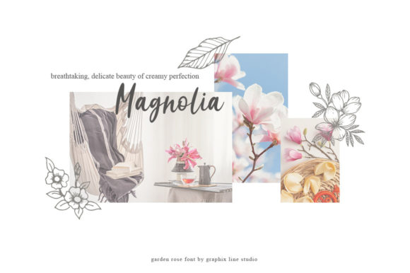 Blog Image 3