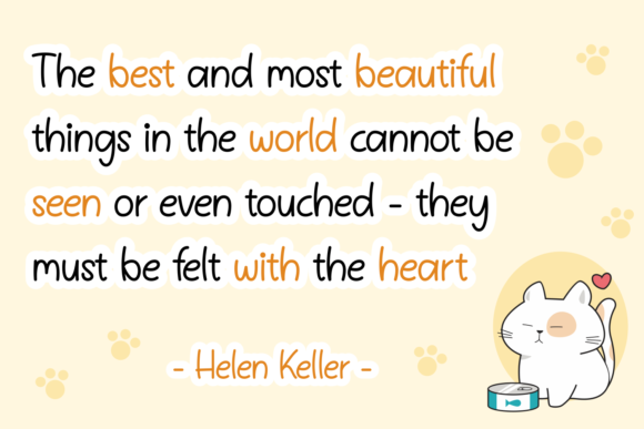 Blog Image 3