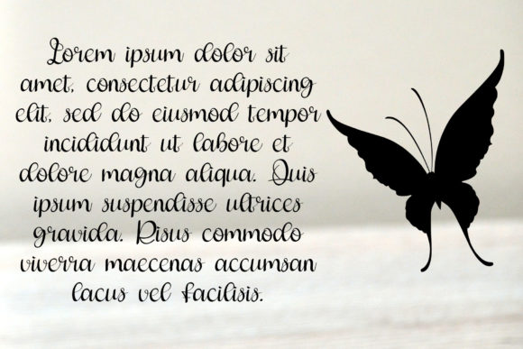 Blog Image 3