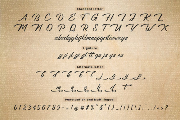 Blog Image 3
