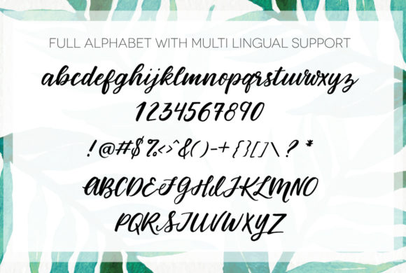 Blog Image 3