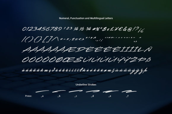 Blog Image 3