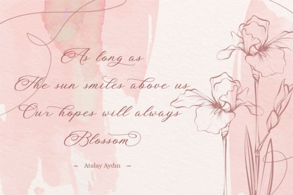 Blog Image 3