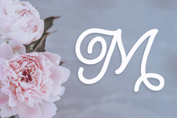 Blog Image 3