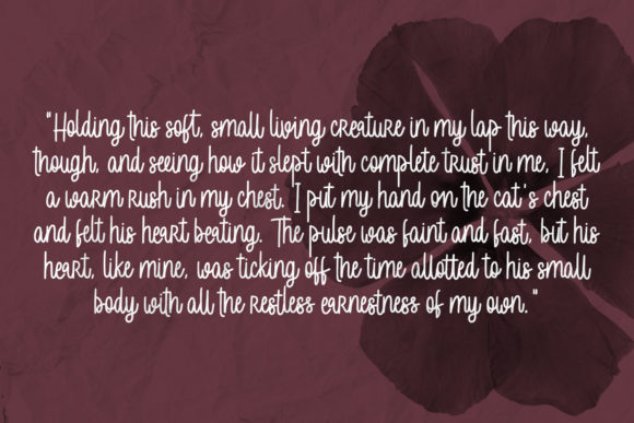 Blog Image 2