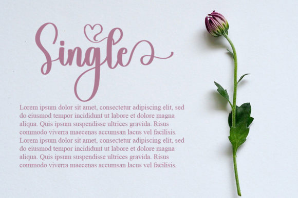Blog Image 2