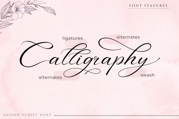 Blog Image 2