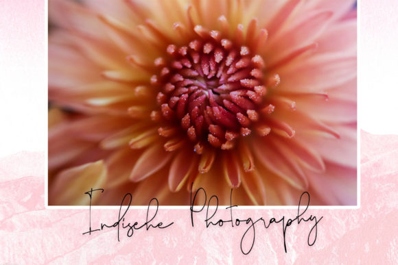 Blog Image 2