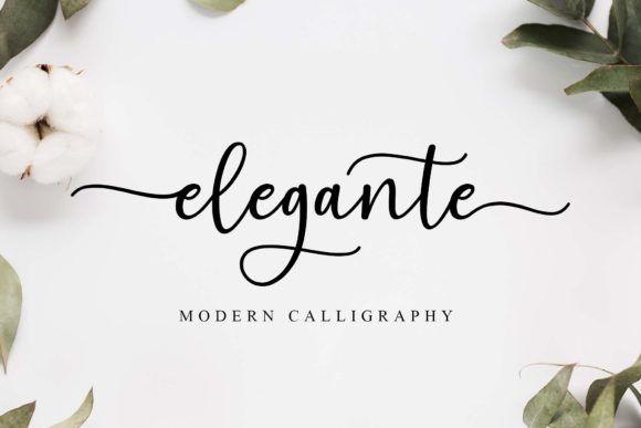Blog Image 2