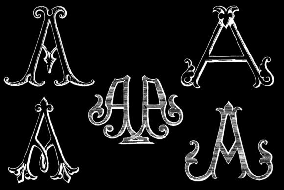 Blog Image 3
