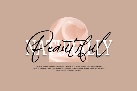 Blog Image 2