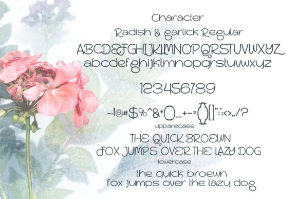 Blog Image 3
