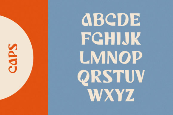 Blog Image 2