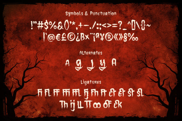 Blog Image 3