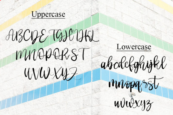Blog Image 3