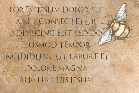 Blog Image 3