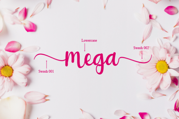 Blog Image 3
