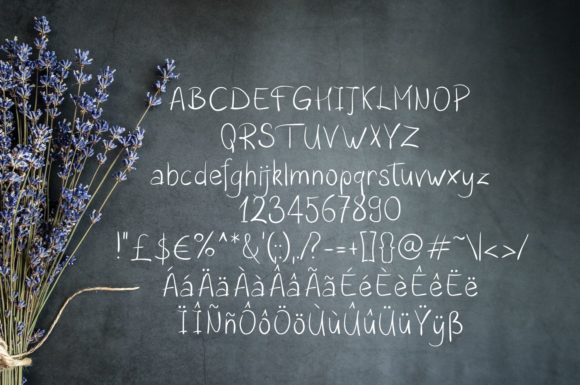 Blog Image 2