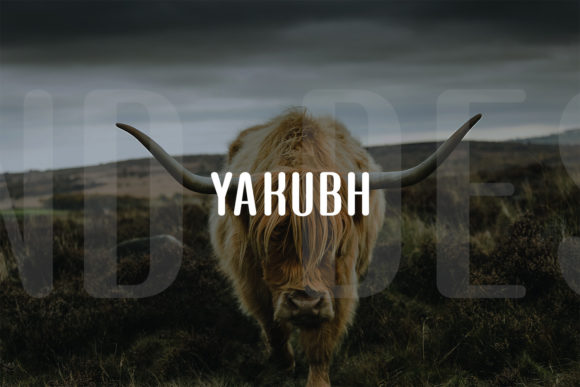 Yakubh Font
